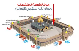 شعبة المفقودات